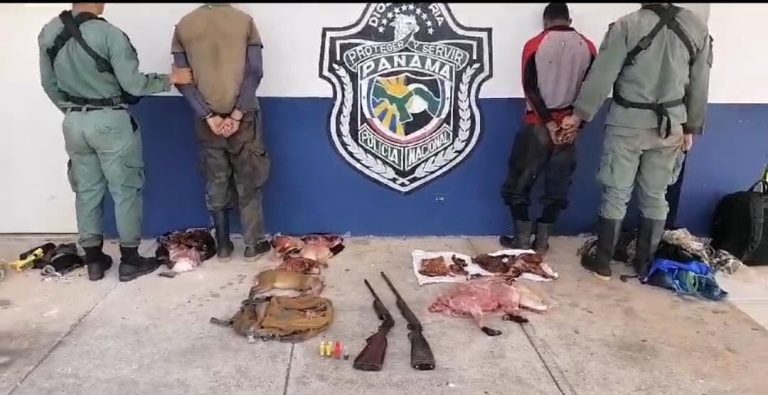 Más de 50 personas han sido detenidas relacionadas con delitos ambientales