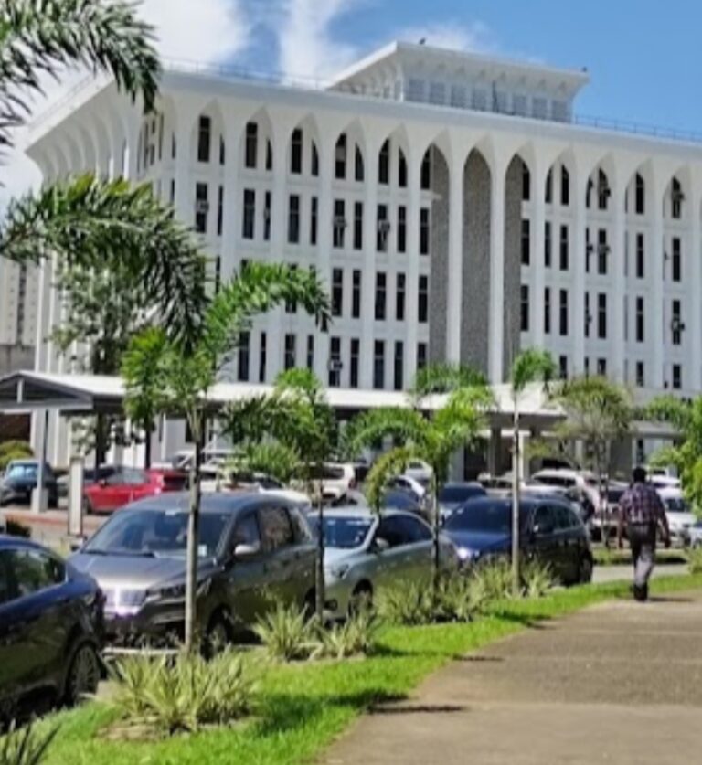 Propuesta de la UP, plantea un modelo netamente solidario