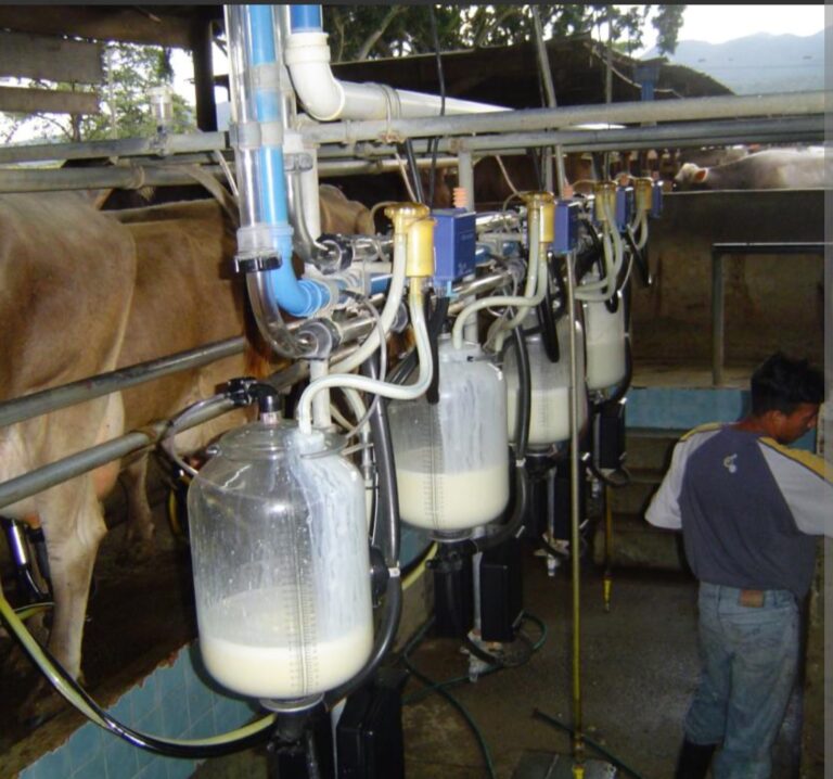 Incertidumbre entre los productores lácteos. Incentivos en la compra del producto serán eliminados.