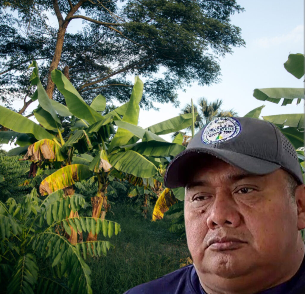 Lo que Natura no da…           ¡Salamanca no presta!