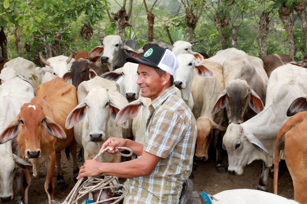 BDA impulsa la producción agropecuaria en Darién con créditos por más de B/.324 mil para pequeños productores