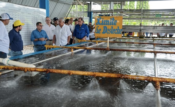 Presidente Mulino recorrió las operaciones de Chiquita y destacó la reactivación de las exportaciones de banano en Bocas del Toro