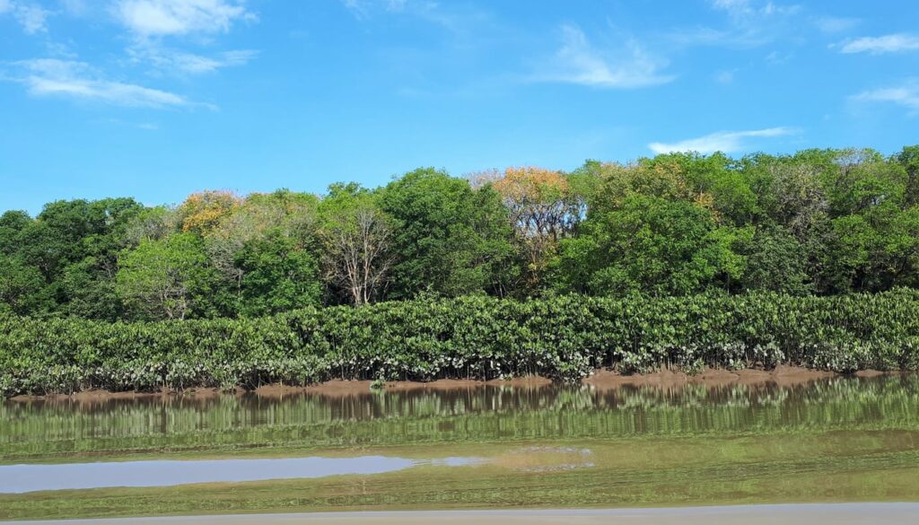 Panamá será sede mundial de la Convención Mundial RAMSAR de conservación de humedales en 2028